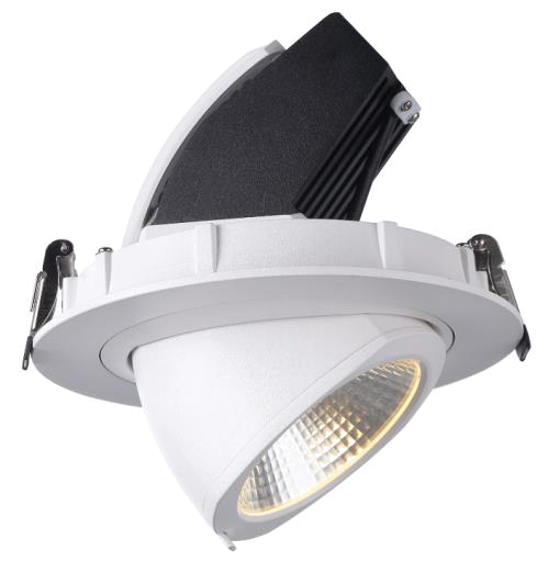 Downlight 25 Watt