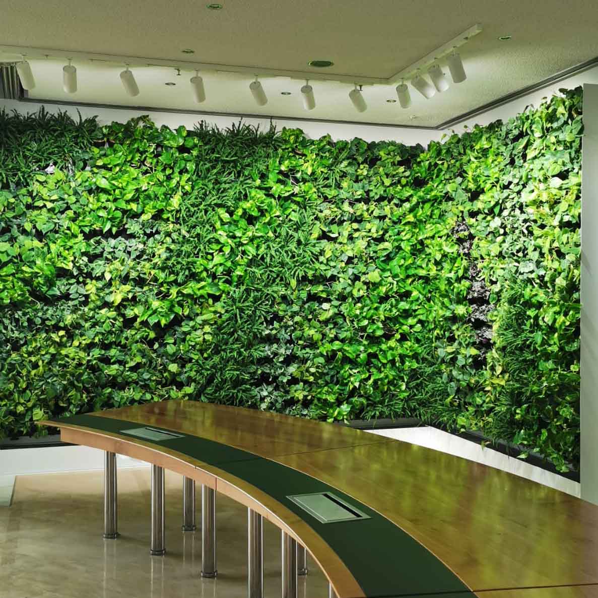 Beleuchtung von grünen Wänden 